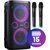 Power audio HISENSE Party Rocker One Plus Mikrofon Karaoke