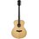 Gitara akustyczna ARROW Gold L2050081 Naturalny