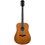 Gitara akustyczna ARROW Gold L2050077 Mahoniowy