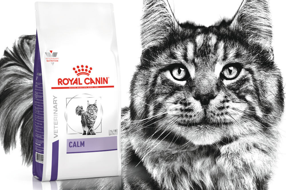 Karma dla kota ROYAL CANIN Calm 2 kg dawkowanie analiza sklad