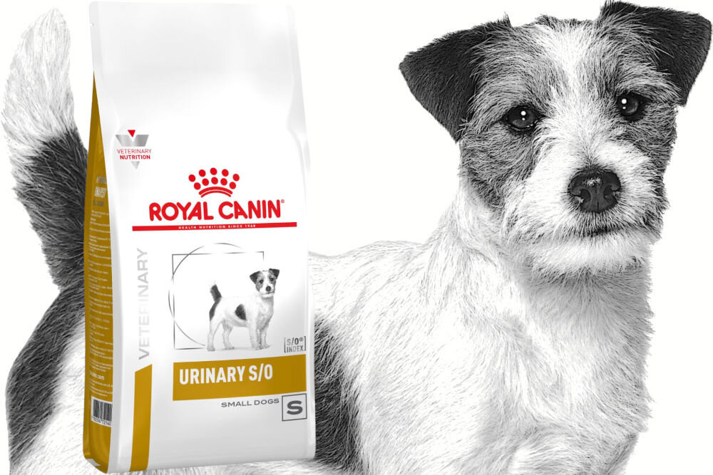 Karma dla psa ROYAL CANIN Urinary S/O 2 kg naturalne składniki