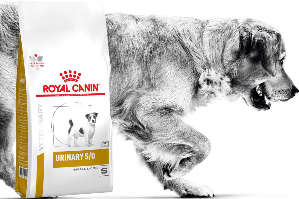 Karma dla psa ROYAL CANIN Urinary S/O 2 kg dawkowanie analiza sklad
