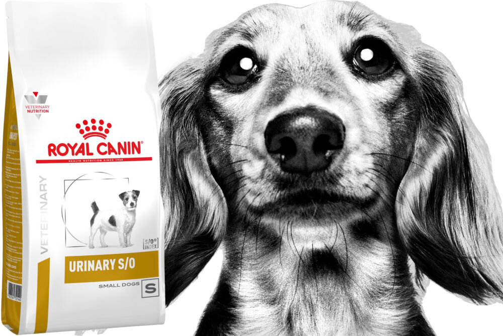 Karma dla psa ROYAL CANIN Urinary S/O 2 kg witaminy pierwiastki aminokwasy