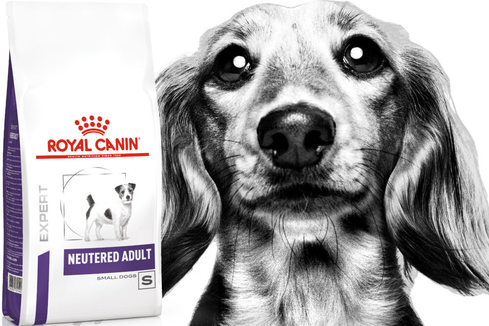 Karma dla psa ROYAL CANIN Neutered Adult Small 1.5 kg naturalne składniki