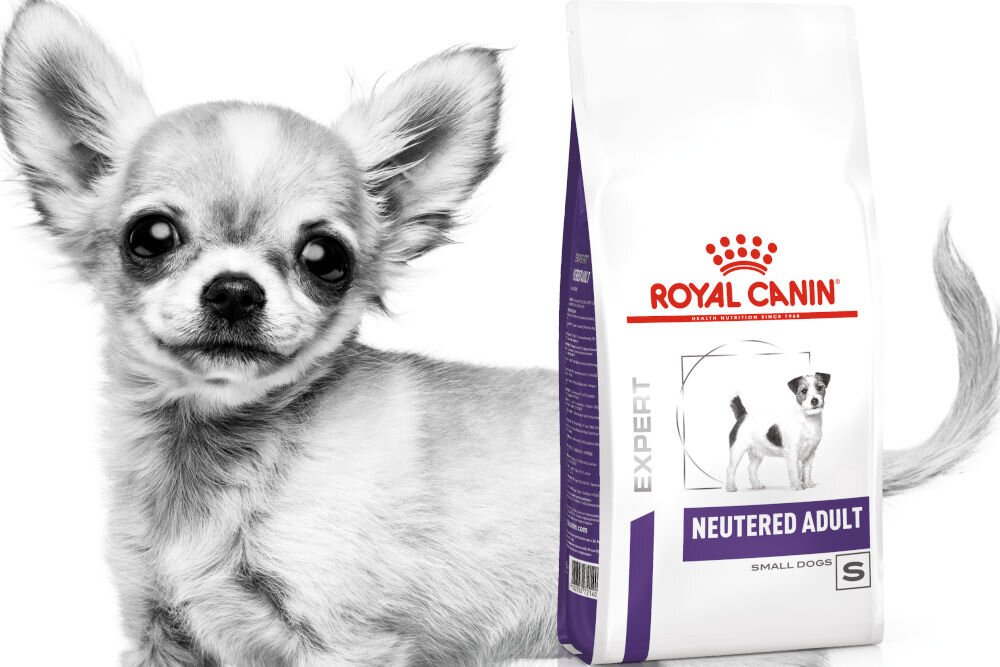 Karma dla psa ROYAL CANIN Neutered Adult Small 1.5 kg dawkowanie analiza sklad