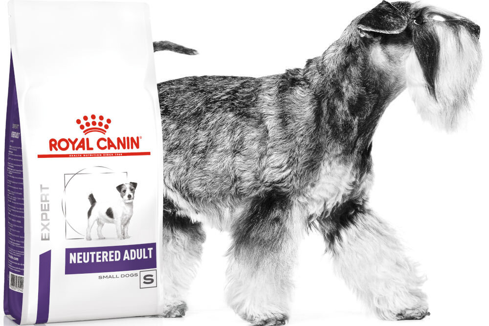 Karma dla psa ROYAL CANIN Neutered Adult Small 1.5 kg witaminy pierwiastki aminokwasy