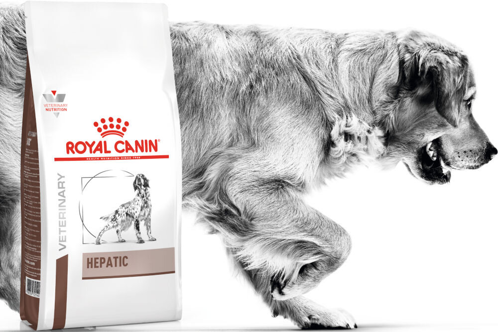 Karma dla psa ROYAL CANIN Hepatic 1,5 kg dawkowanie analiza sklad