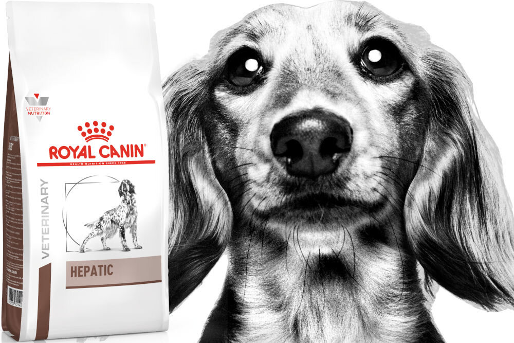 Karma dla psa ROYAL CANIN Hepatic 1,5 kg witaminy pierwiastki aminokwasy