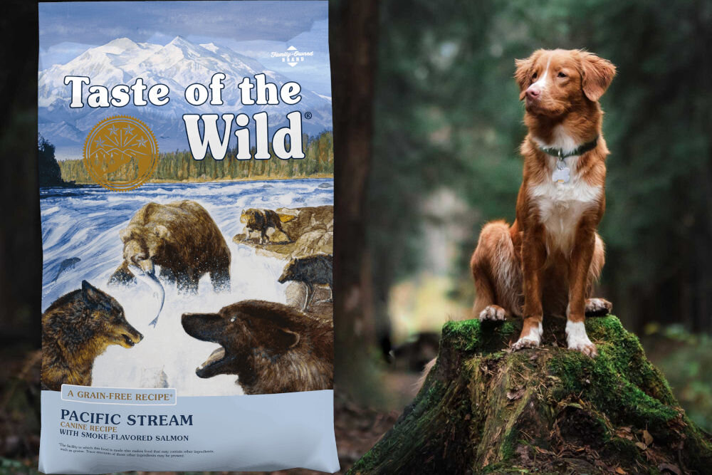 Karma dla psa TASTE OF THE WILD Pacific Stream Łosoś 2 kg naturalne składniki