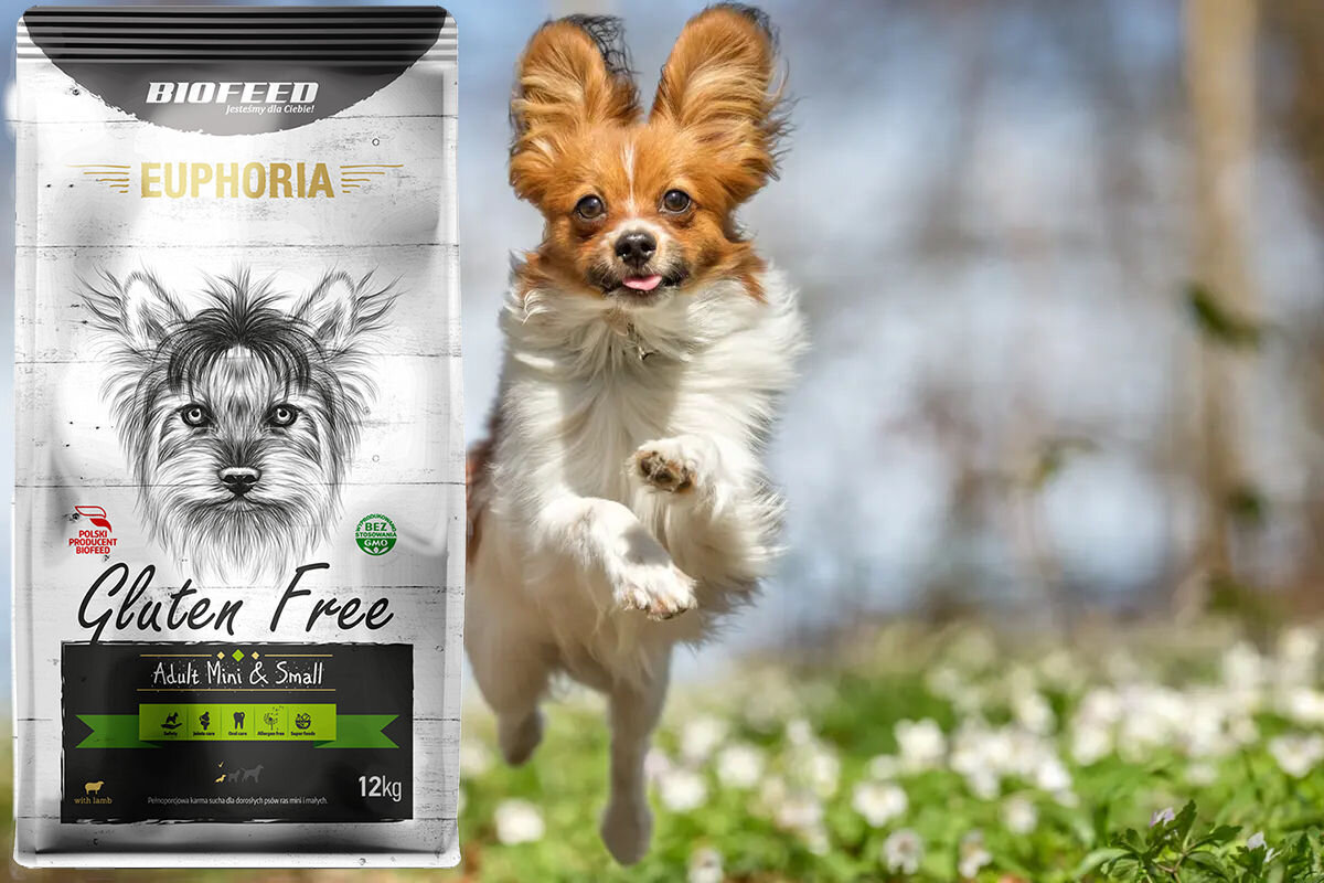 Karma dla psa BIOFEED Euphoria Gluten Free 12 kg dawkowanie analiza sklad