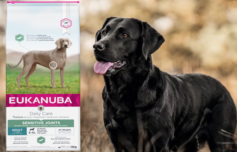 Karma dla psa EUKANUBA Daily Care Sensitive Joints Adult Breeds 12 kg dawkowanie analiza sklad