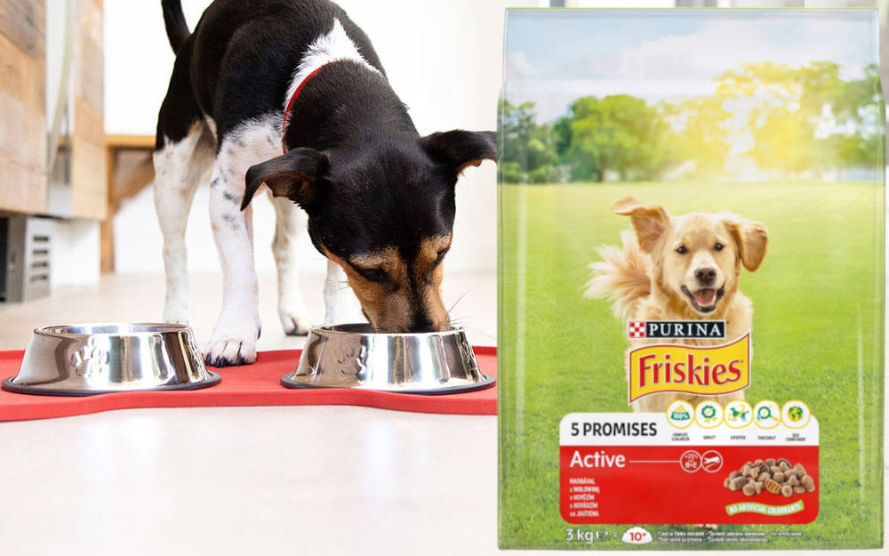 Karma dla psa FRISKIES 5 Promisses Active Wołowina 3 kg witaminy zdrowie