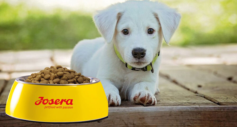 Karma dla psa JOSERA JosiDog Junior Sensitive 15 kg naturalne składniki wielkość krokietów