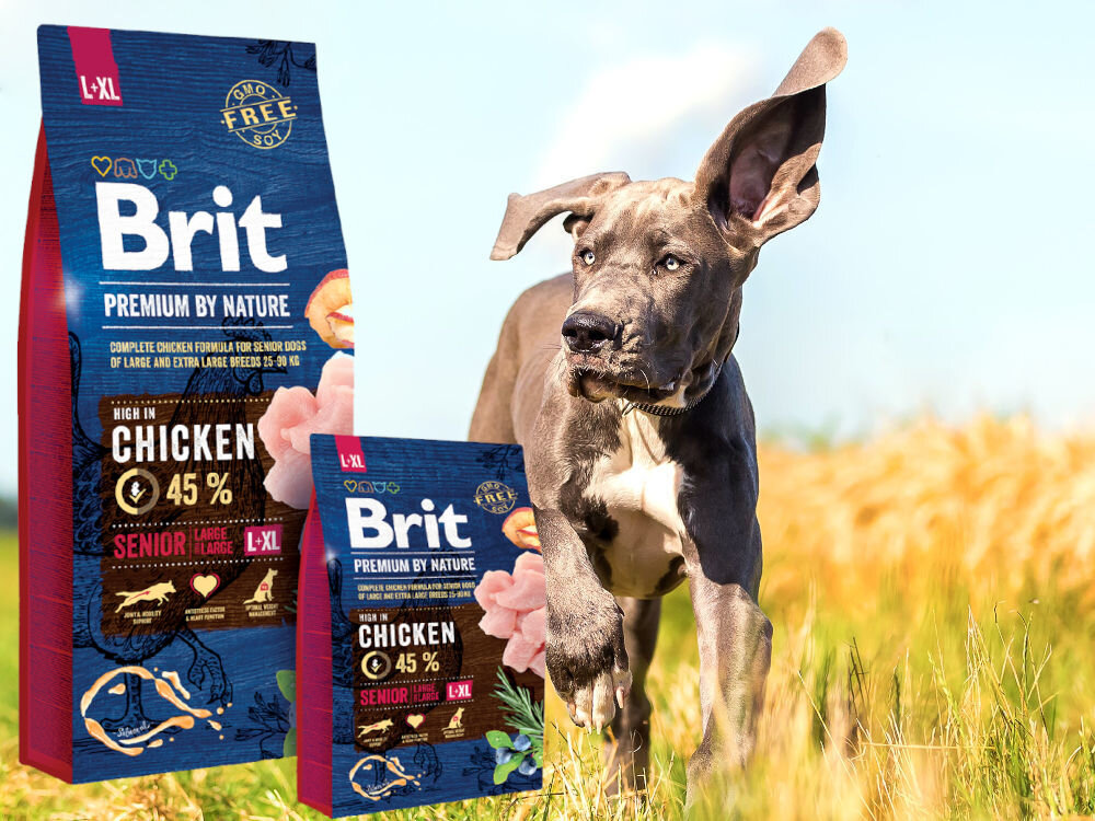 Karma dla psa BRIT Premium By Nature Senior Kurczak 3 kg witaminy zdrowie
