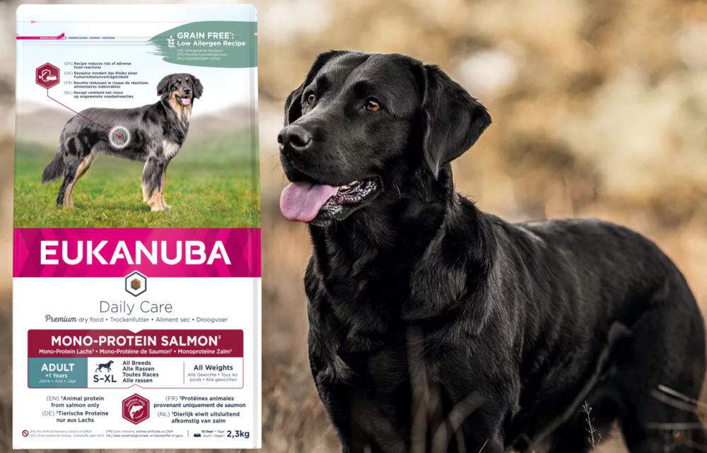 Karma dla psa EUKANUBA Adult Mono-Protein Łosoś 2,3 kg dawkowanie analiza sklad