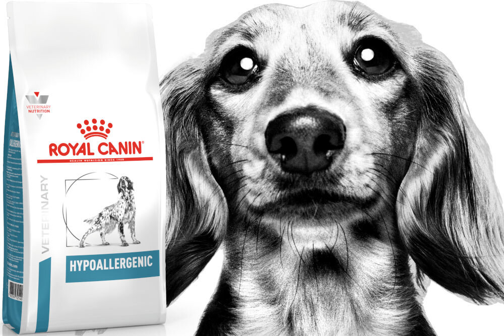 Karma dla psa ROYAL CANIN Hypoallergenic 7 kg witaminy pierwiastki aminokwasy