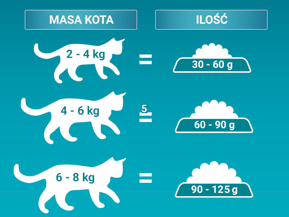 Karma dla kota PURINA ONE Dual Nature Kurczak 750 g sklad zywienie