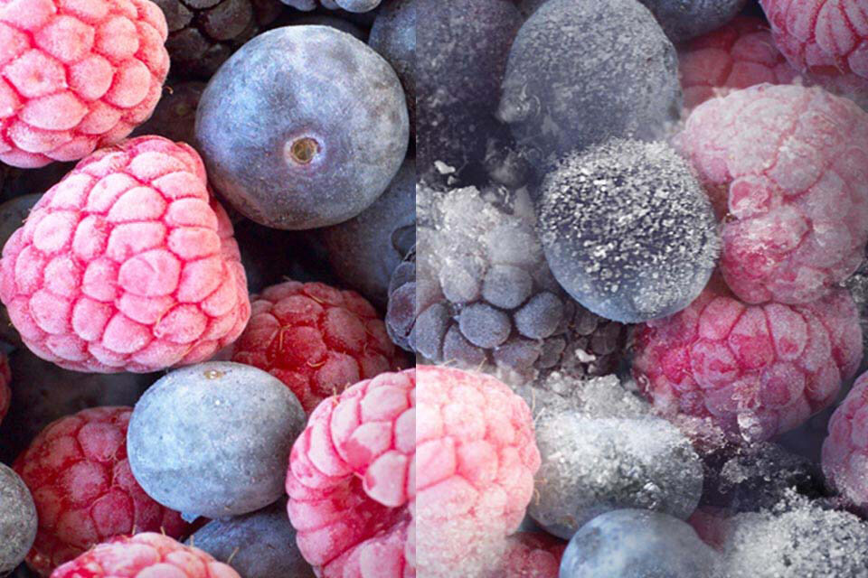 Zdjęcie pokazuje jak wyglądają owoce przechowywane w lodówce bezszronowej (po lewej stronie) i w tradycyjnej (po prawej)