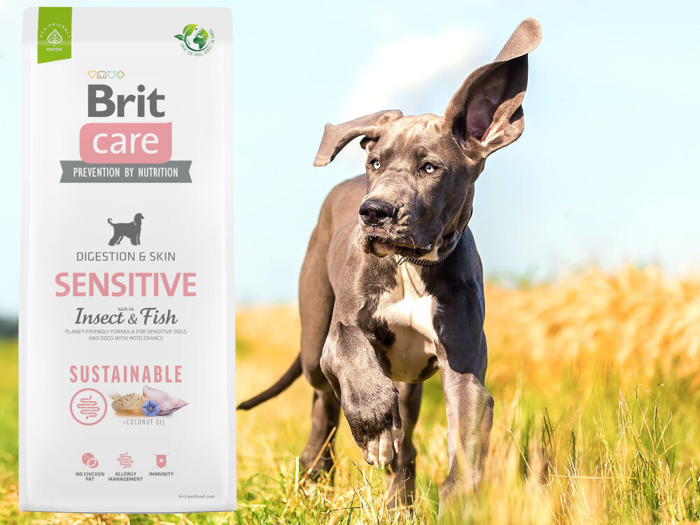 Karma dla psa BRIT CARE Sustainable Sensitive Owady i ryba 3 kg sklad zywienie