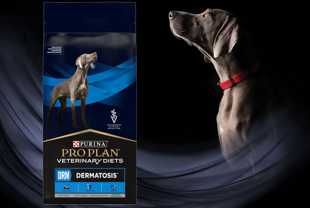 Karma dla psa PURINA Pro Plan Veterinary Diets Canine DRM Dermatosis 1,5 kg witaminy zdrowie