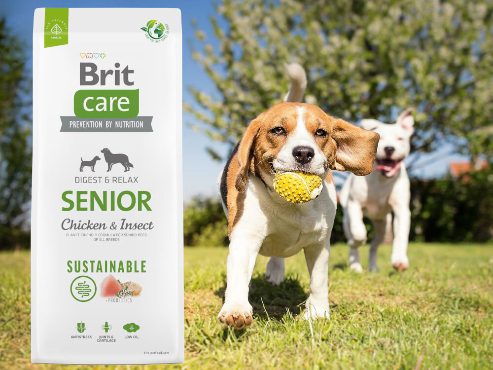 Karma dla psa BRIT Sustainable Senior Kurczak i owady 1 kg witaminy zdrowie
