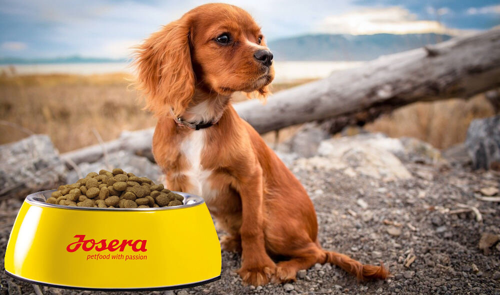 Karma dla psa JOSERA JosiDog Junior Sensitive Drób 2,7 kg witaminy pierwiastki aminokwasy