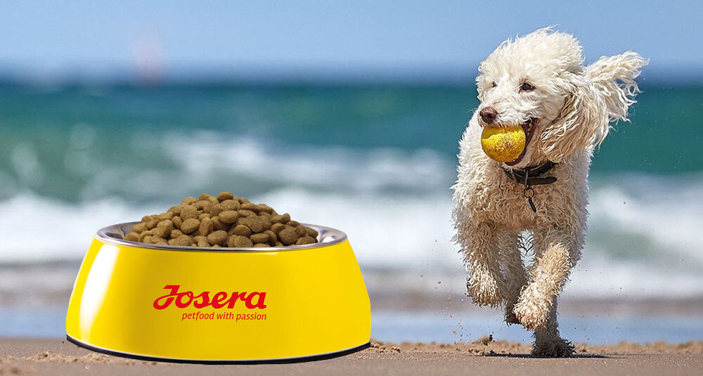 Karma dla psa JOSERA JosiDog Mini 2.7 kg naturalne składniki wielkość krokietów