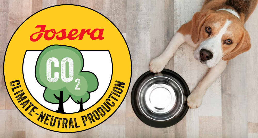 Karma dla psa JOSERA Mini Deluxe Jagnięcina 10 kg naturalne składniki wielkość krokietów