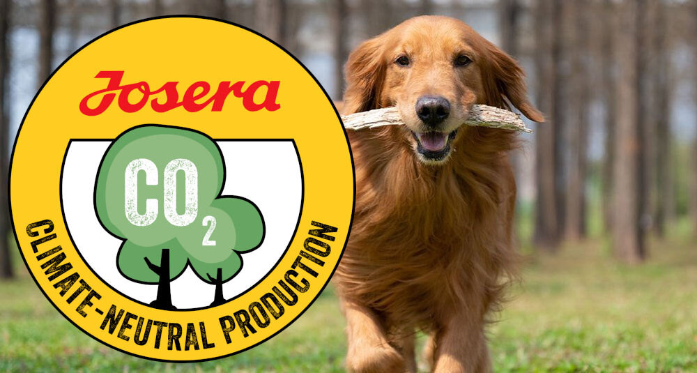 Karma dla psa JOSERA Nature Energetic Drób 12.5 kg naturalne składniki wielkość krokietów