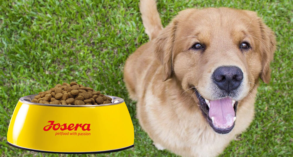 Karma dla psa JOSERA Nature Energetic Drób 12.5 kg witaminy pierwiastki aminokwasy